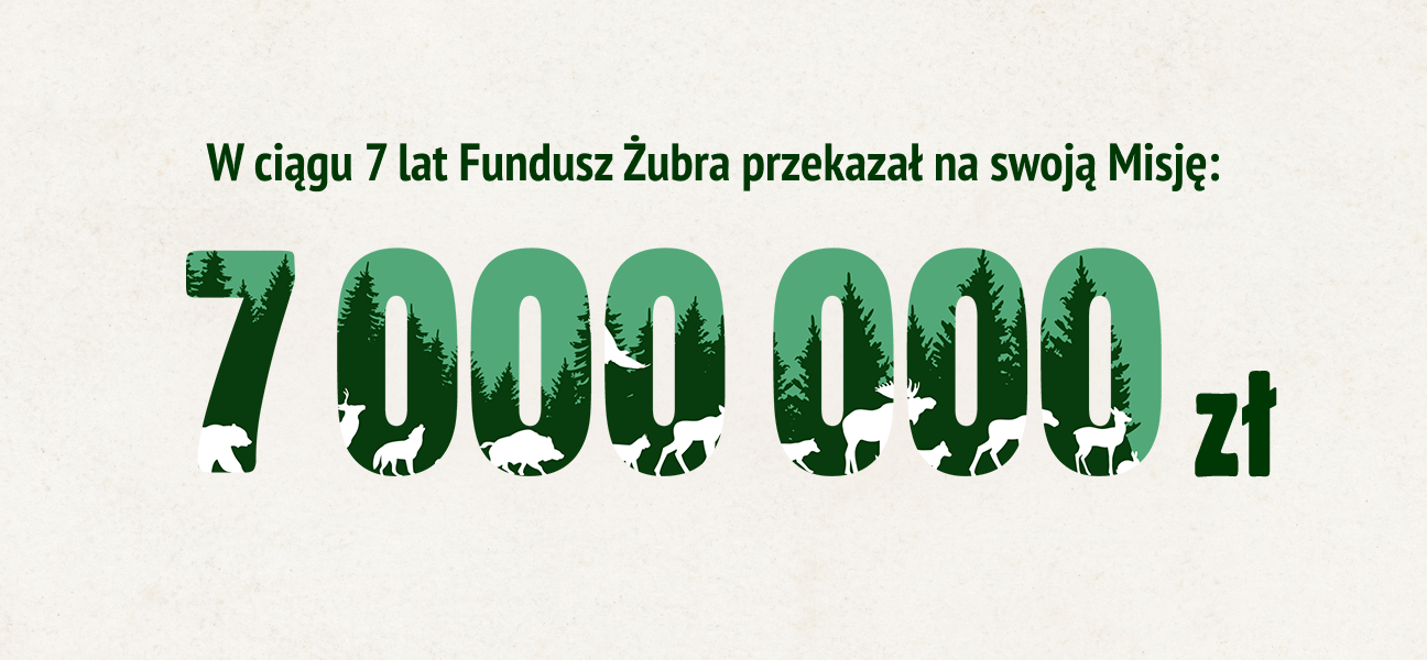 Osiągnięcia