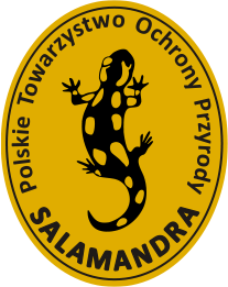 Salamandra